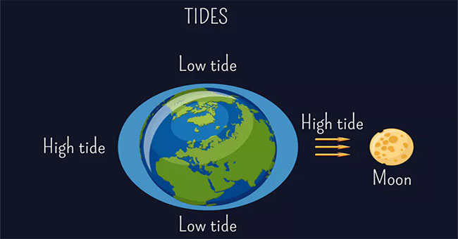 Why does such a distant Moon affect the tide on Earth?