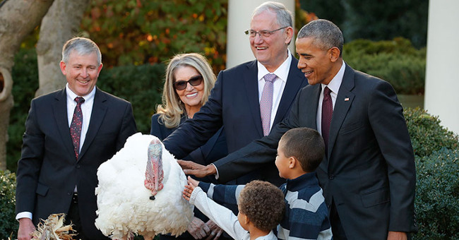 Why does the US President have to pardon turkeys?