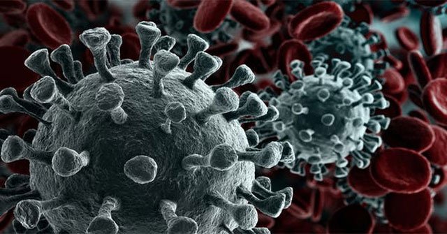 Why does WHO say it takes 18 months to get the vaccine for corona virus?