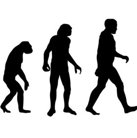 Why don't all primates evolve into humans?
