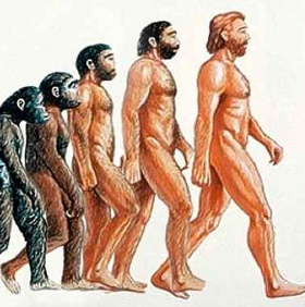 Why human lost body hair?