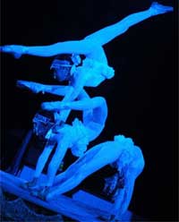Why humans are capable Flexible?