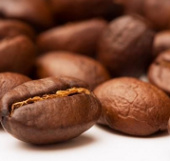 Why is coffee the best drink on the planet?