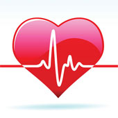 Why is myocardium the strongest muscle in the body?