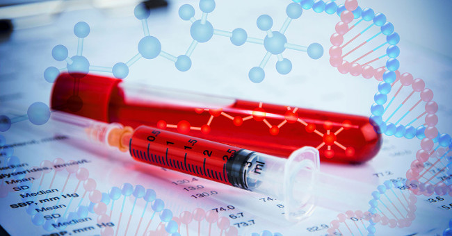 Why is our blood red, but not green?