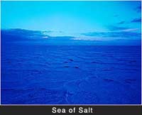 Why is seawater salty?