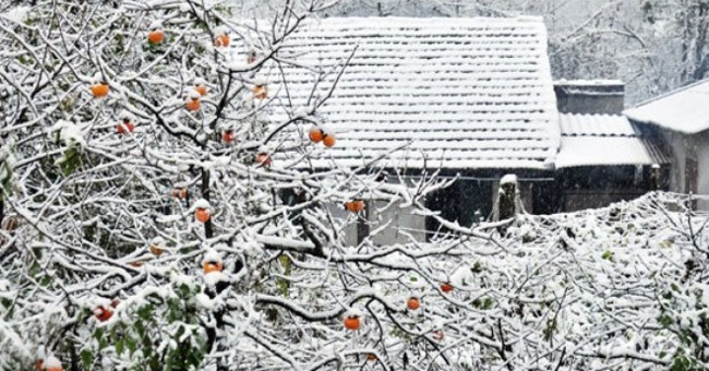 Why is the climate warming but the winter is cold?