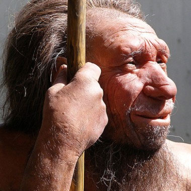Why is the Neanderthal right hand twice as big as the left hand?