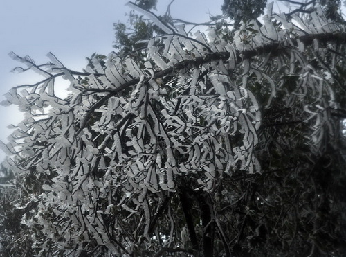 Why is the North cold abnormally?