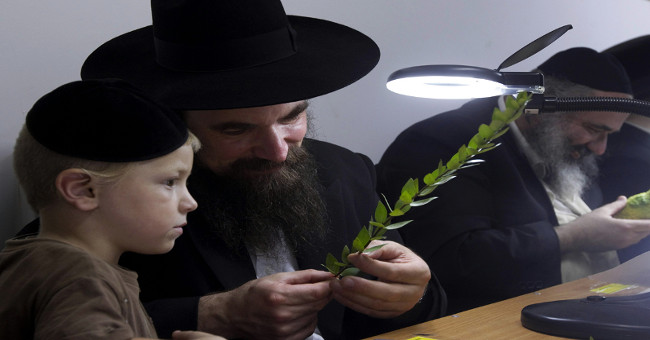 Why is the smartest Jew in the world?