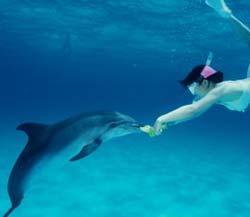 Why is there a deep diver without oxygen tanks?