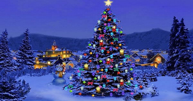 Why is there a tradition of decorating and lighting up Christmas trees?