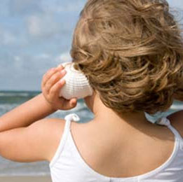 Why is there a wave in the sea shell?