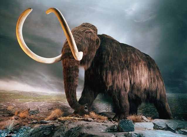 Why prehistoric people perish?