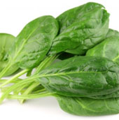 Why should I eat a lot of spinach?