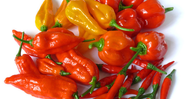 Why should not drink water after eating spicy food?