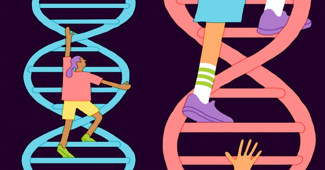 Why shouldn't IQ be tested by genetic testing?