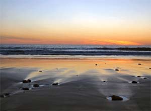Why smell the sea?