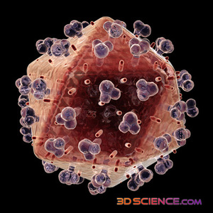Why some primates can live with HIV without AIDS