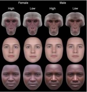 Why symmetry is an attractive feature