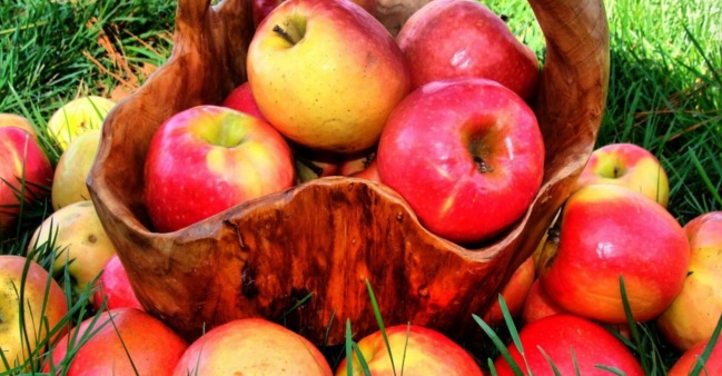 Why would only one rotten apple make other apples rot?