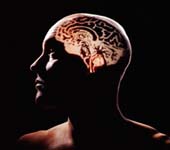Wi-Fi waves are harmful to the brain
