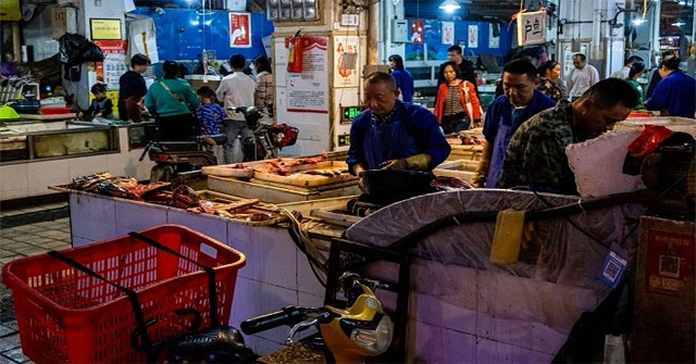 Wild animals - the source of Wuhan pneumonia