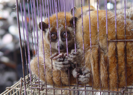 Wildlife protection exhibition