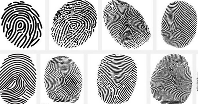 Will fingerprints change after we die?  The answer surprised everyone!