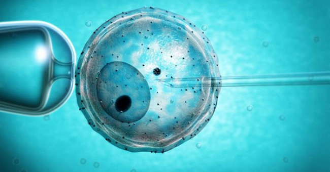Will in-vitro fertilization be at risk of premature death?