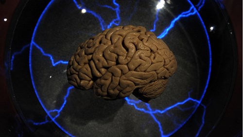 Will people who speak multiple languages ​​be smarter?