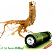 Will the battery be made from tree roots in the future?