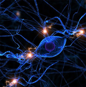 Will the brain 'hack' device appear?