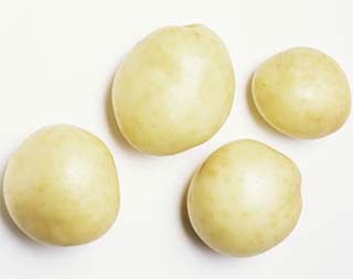 Will you produce genetically modified potatoes for 2015?
