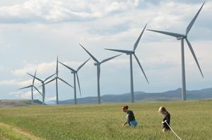 Wind turbines are the risk of death of bats