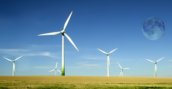 Wind turbines help plants grow better