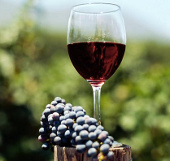 Wine also works like doping