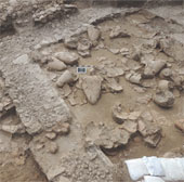 Wine cellar of 3,700 years old