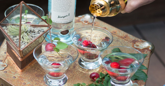 Wine made from mist in San Francisco