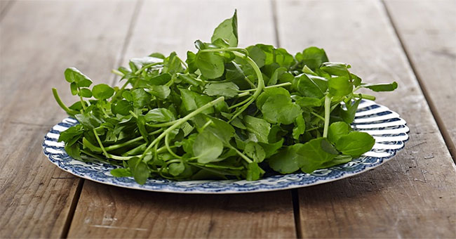 Winter intensified eating watercress to achieve these great benefits!
