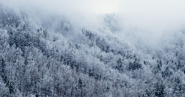 Winter this year comes early, colder than the last 5 years