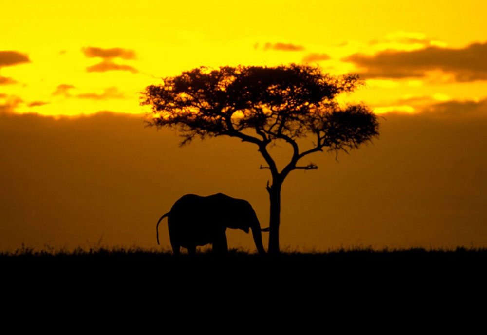 WMO enhances climate services in Africa