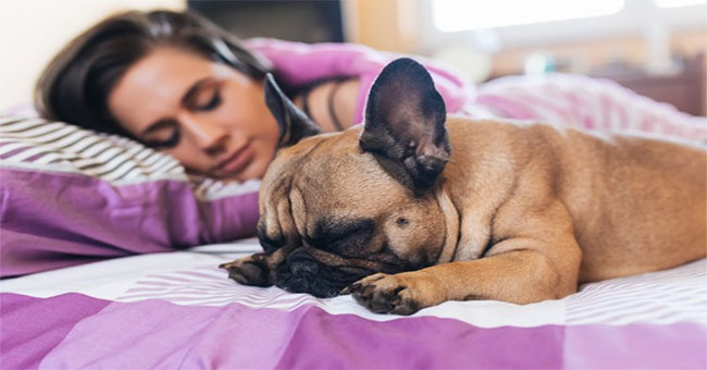 Women sleep better when lying next to a puppy