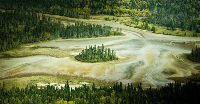 Wood Buffalo - Canada National Park