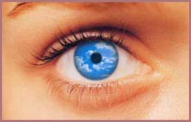 Workshop on ophthalmic engineering science