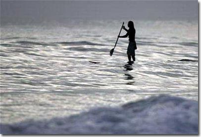 World sea level is twice higher than forecast