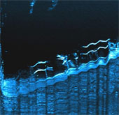 Wreck of World War II on the ocean floor