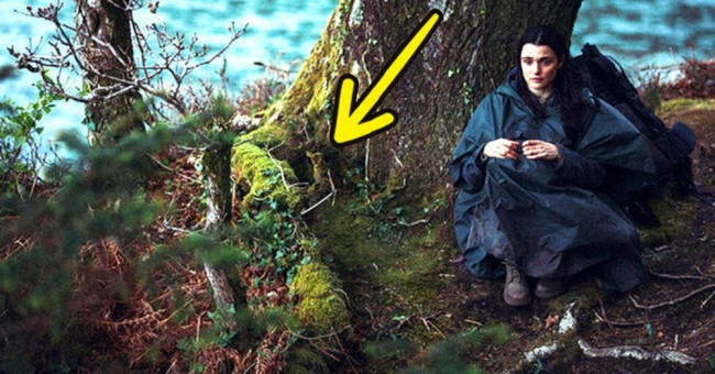 Wrong survival tips on movies, never follow