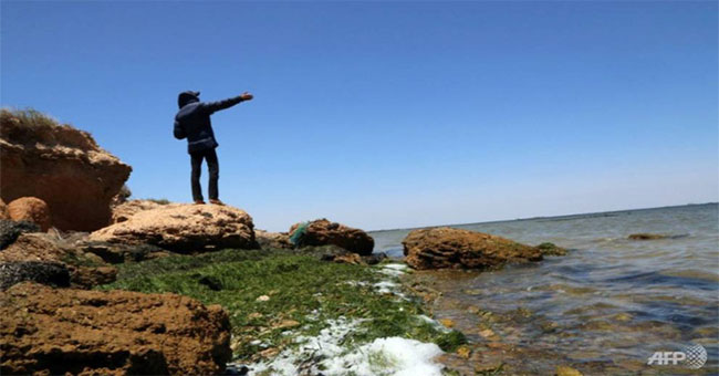 WWF: The Mediterranean is about to become