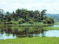 WWF warns of the shrinking of wetlands